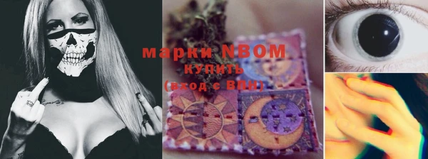 эйфоретик Богданович
