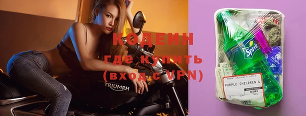 эйфоретик Богданович