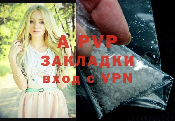 эйфоретик Богданович