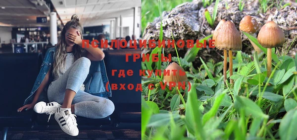 эйфоретик Богданович